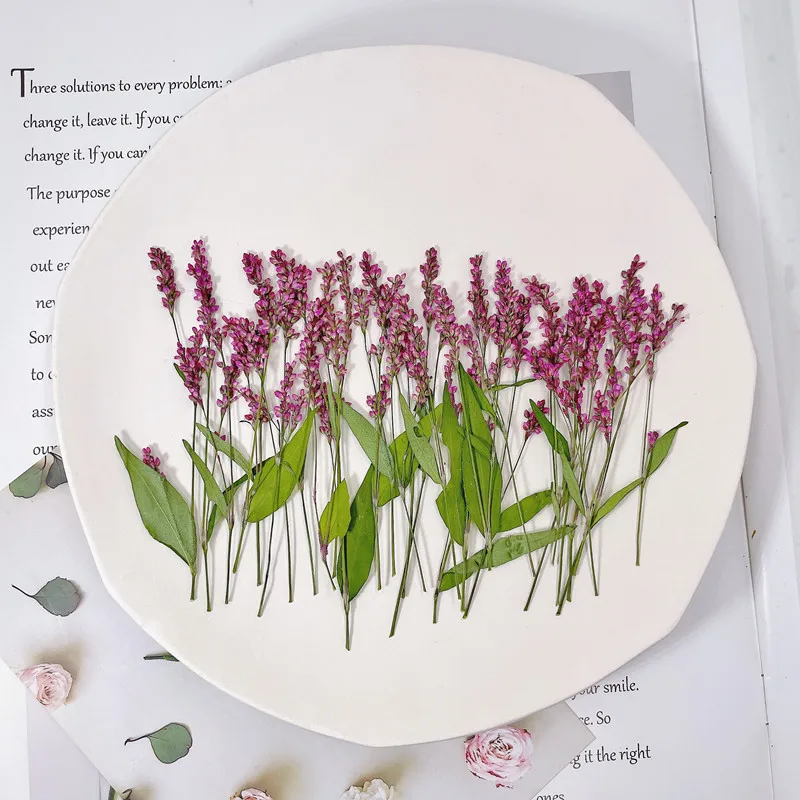 120 Pezzi, 5-8cm, Fiori Pressa - Phone Cases Wholesale recensione e prezzo